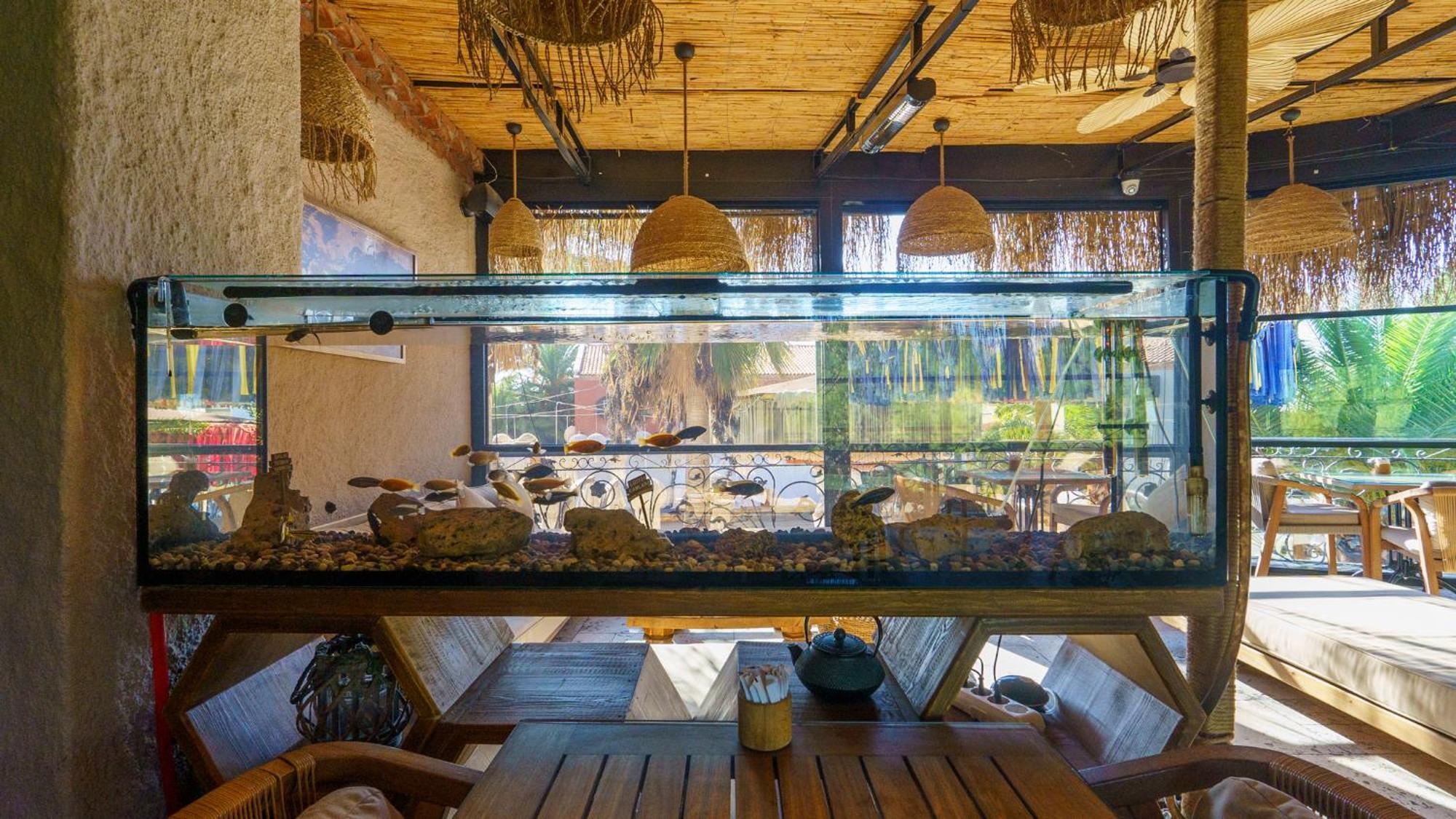 Alacati Aura Plus İzmir Exteriér fotografie